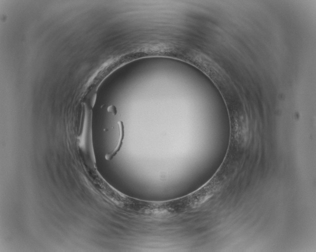 X0000062170208200512091438