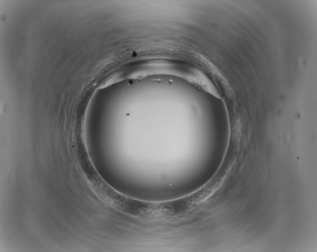 X0000062170209200512091438