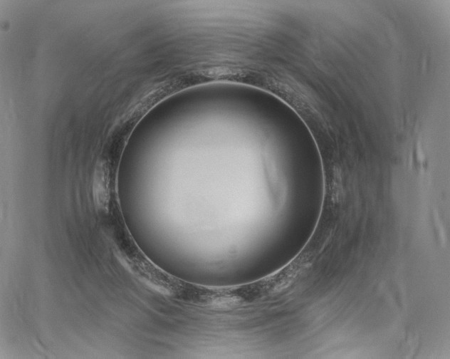 X0000062170210200512091438