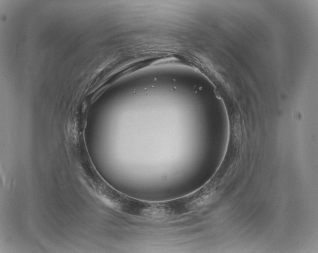 X0000062170211200512091438