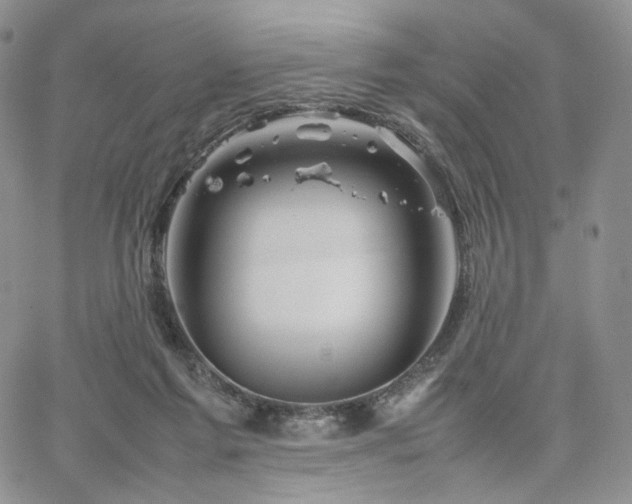 X0000062170213200512091438