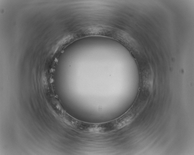 X0000062170216200512091438