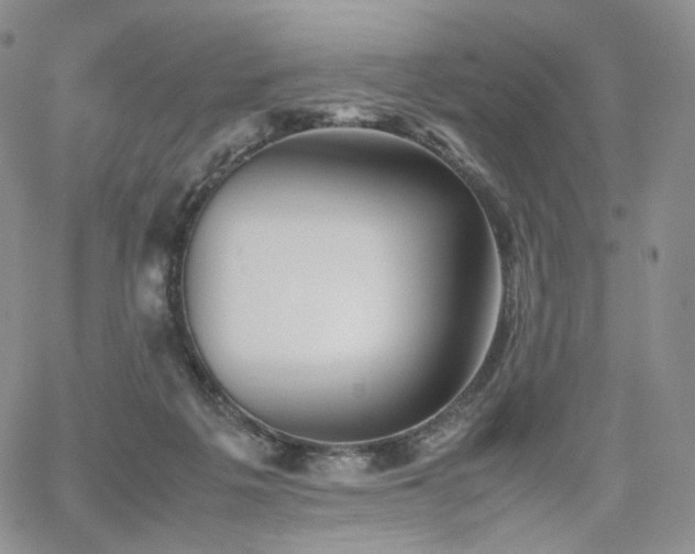 X0000062170217200512091438