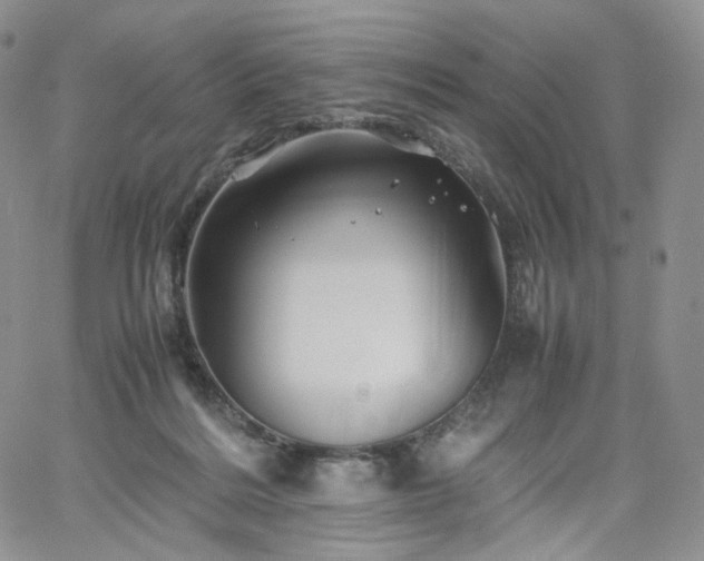 X0000062170220200512091438