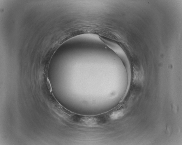 X0000062170221200512091438