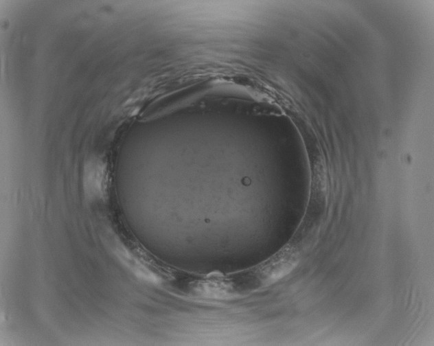 X0000062170223200512091438