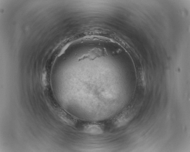 X0000062170224200512091438