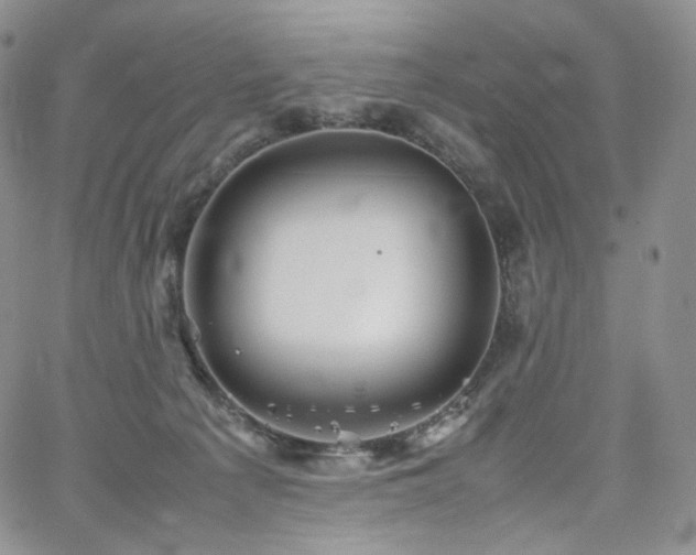 X0000062170225200512091438