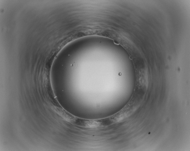 X0000062170226200512091438