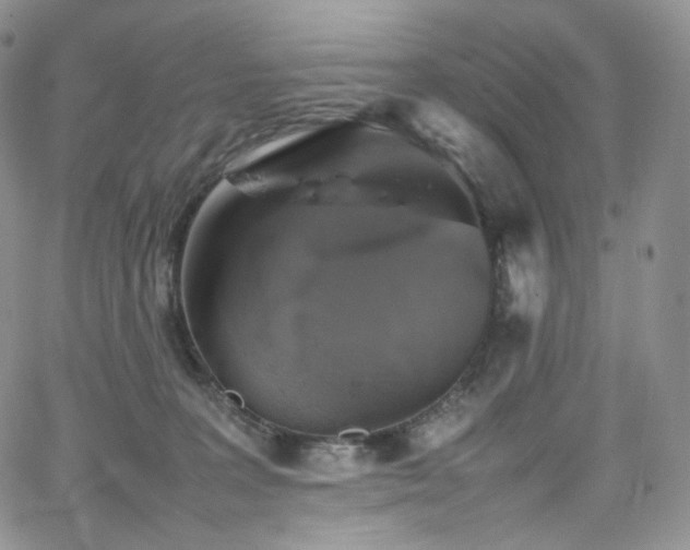 X0000062170227200512091438