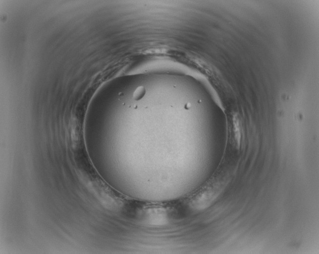 X0000062170228200512091438