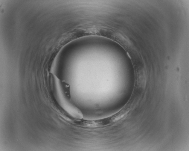 X0000062170229200512091438