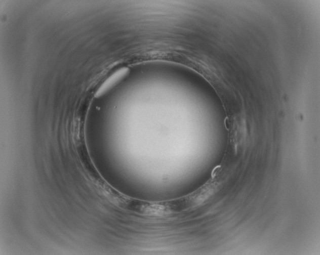 X0000062170230200512091438