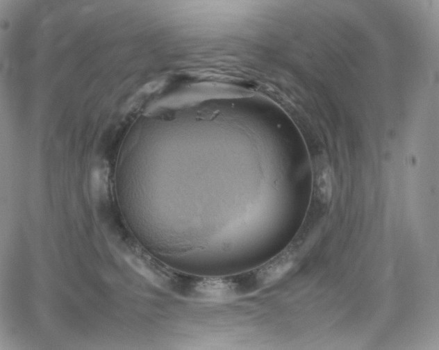 X0000062170231200512091438