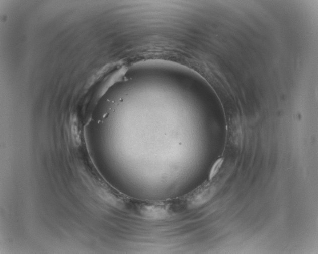 X0000062170232200512091438