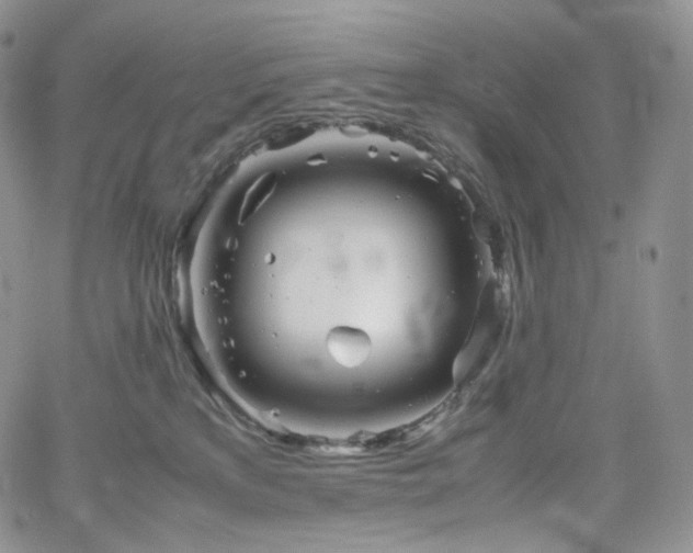 X0000062170233200512091438