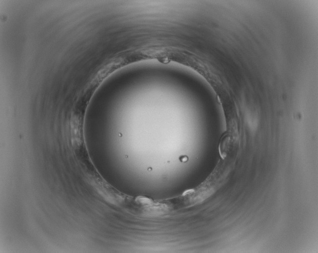 X0000062170234200512091438