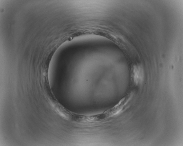 X0000062170235200512091438