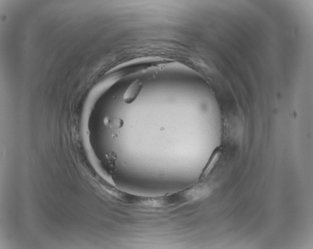 X0000062170237200512091438