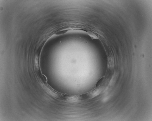 X0000062170238200512091438