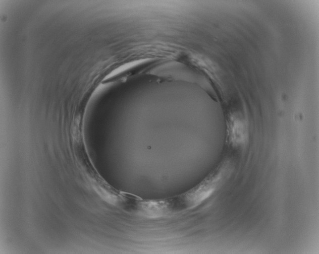 X0000062170239200512091438