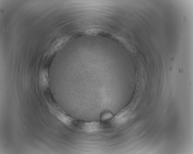 X0000062170240200512091438