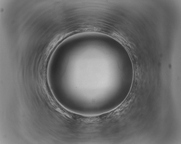 X0000062170241200512091437