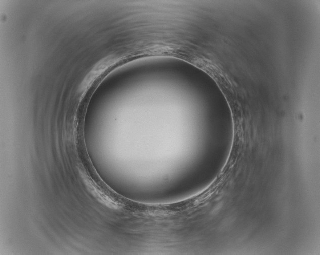 X0000062170242200512091437