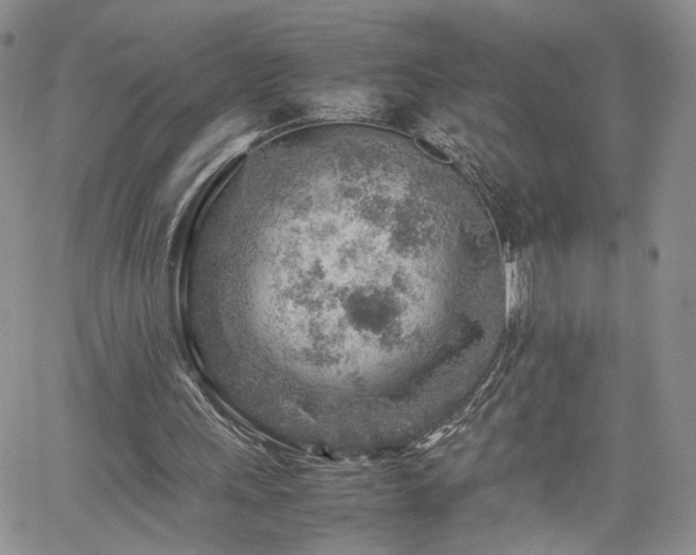 X0000062170243200512091437