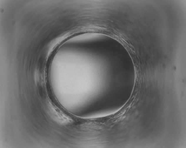 X0000062170244200512091437