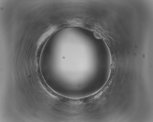 X0000062170245200512091437