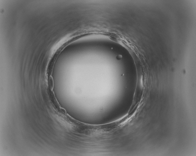 X0000062170246200512091437