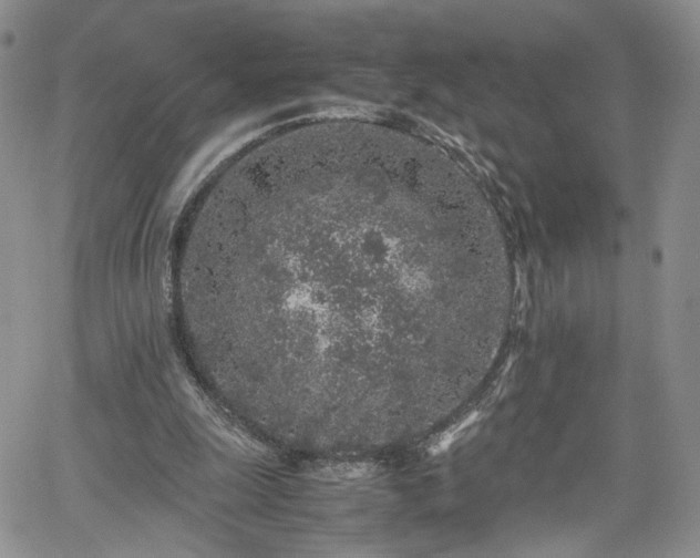 X0000062170247200512091437