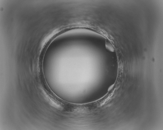 X0000062170248200512091437