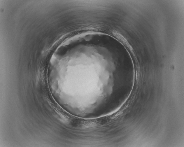 X0000062170249200512091437