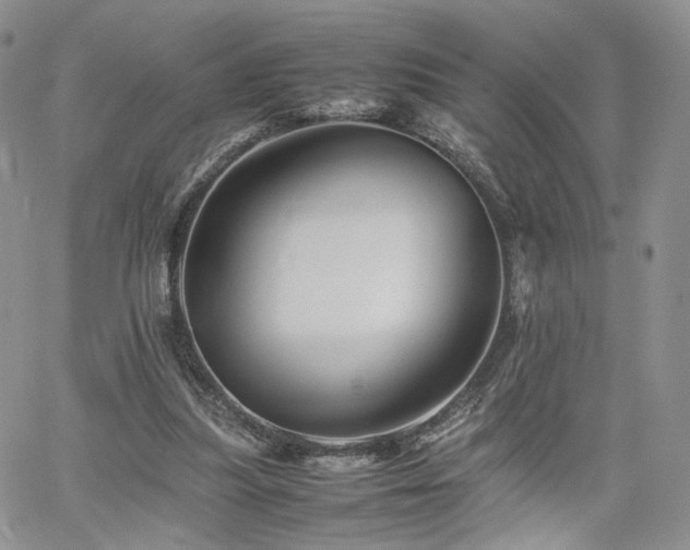 X0000062170251200512091437