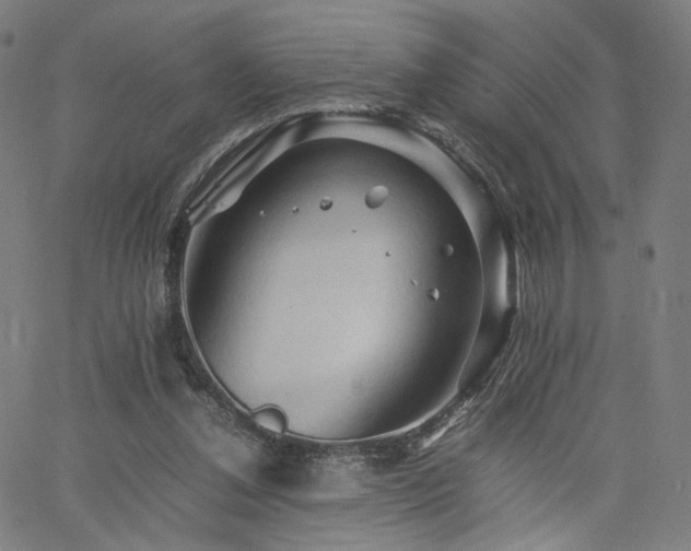 X0000062170252200512091437