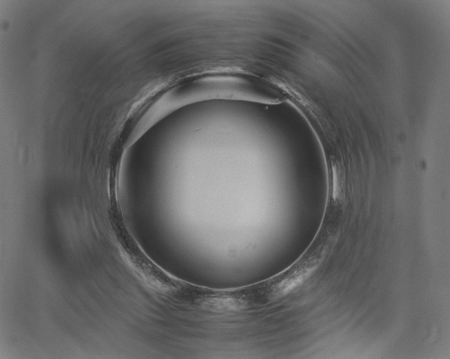 X0000062170253200512091437