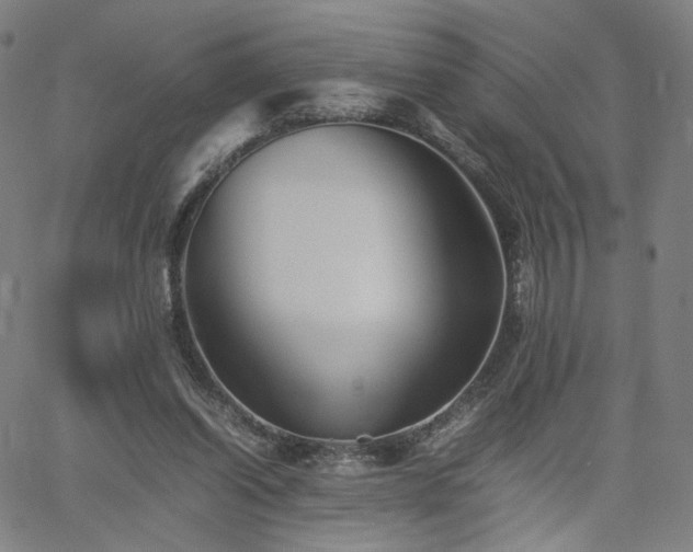 X0000062170254200512091437