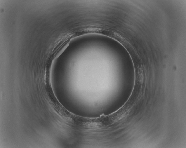 X0000062170255200512091437