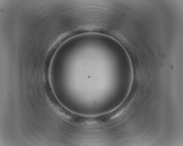 X0000062170256200512091437