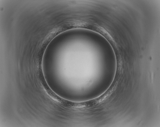 X0000062170257200512091437