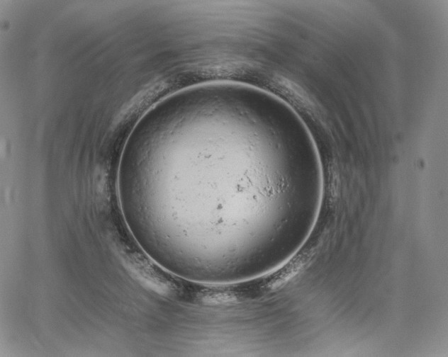 X0000062170258200512091437