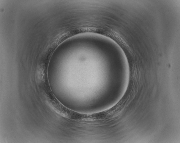 X0000062170259200512091437