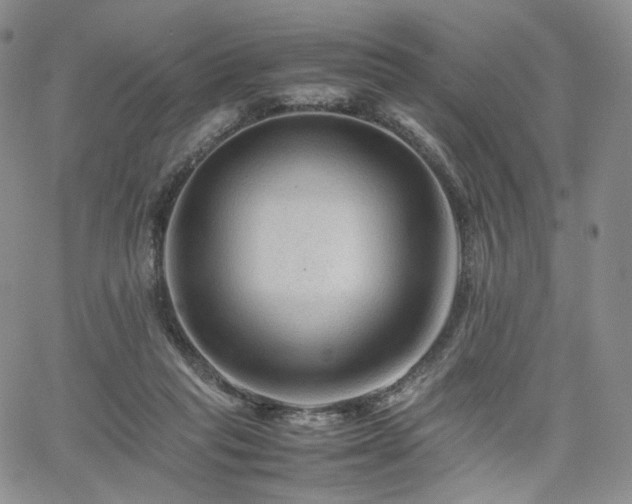 X0000062170261200512091438