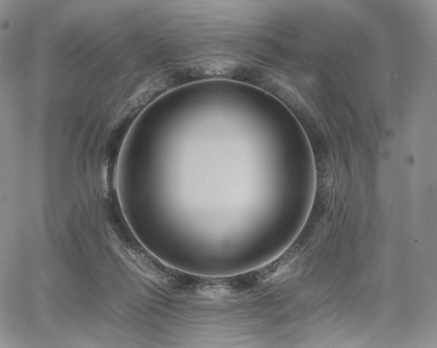 X0000062170262200512091438