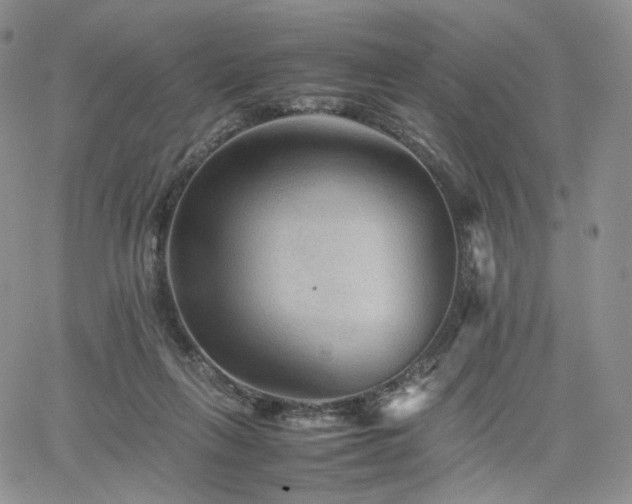 X0000062170263200512091438