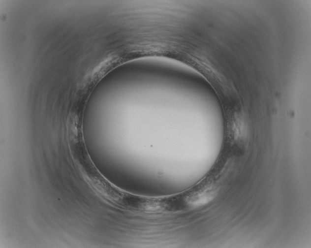 X0000062170264200512091438