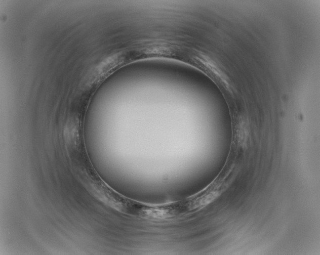 X0000062170265200512091438