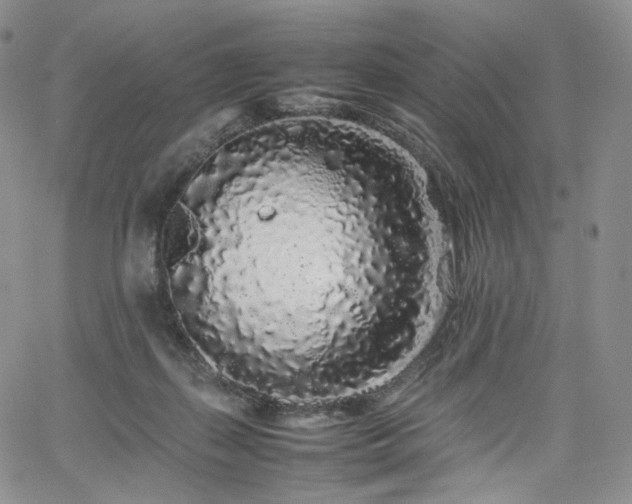 X0000062170267200512091438